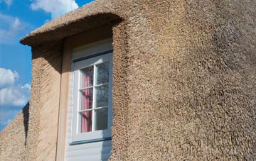 Swiney thatch roof disadvantages