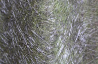 Swiney fibreglass roof work