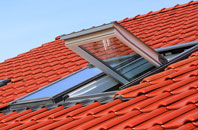 Swiney roof window